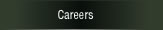 Careers